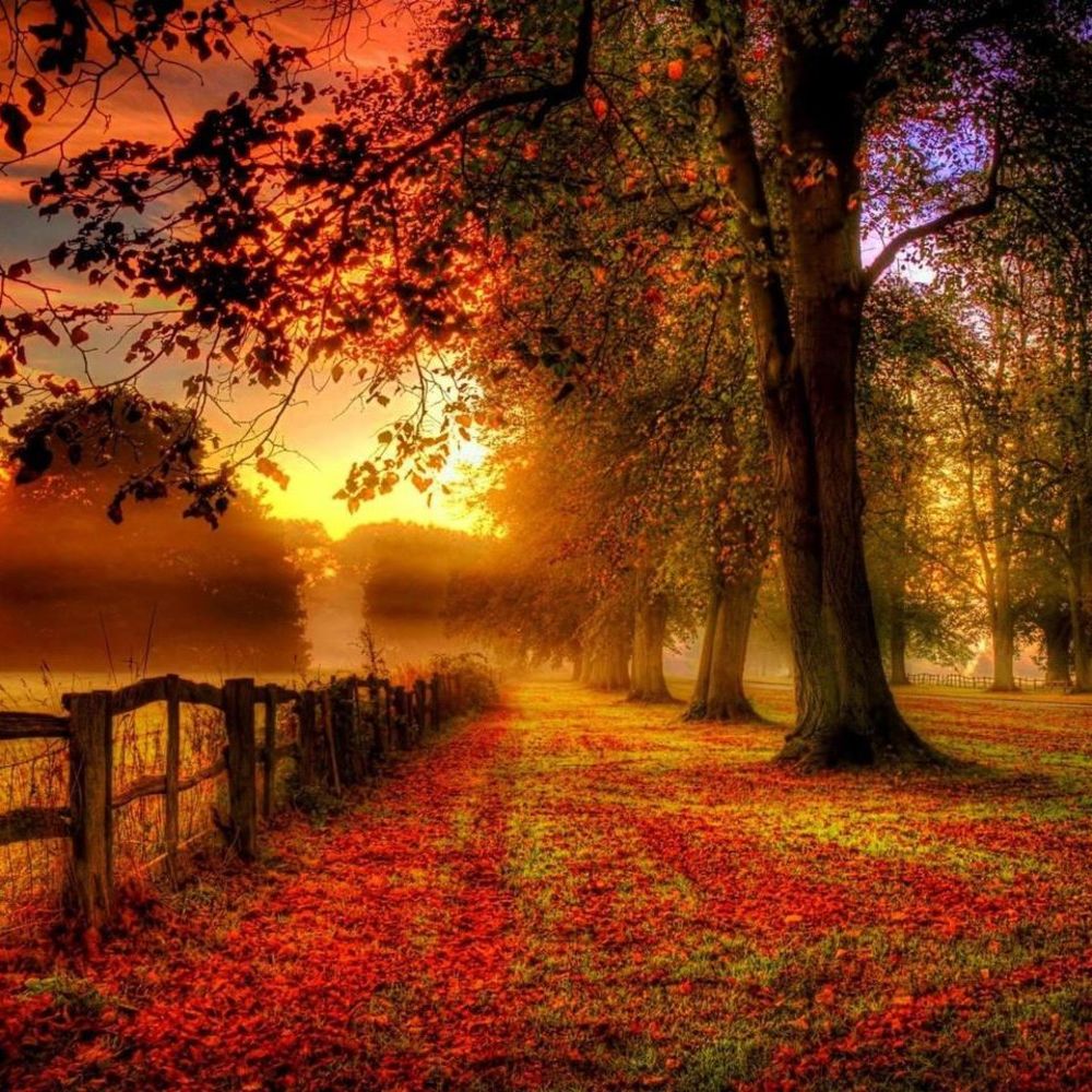 Meet your Posher, Mel